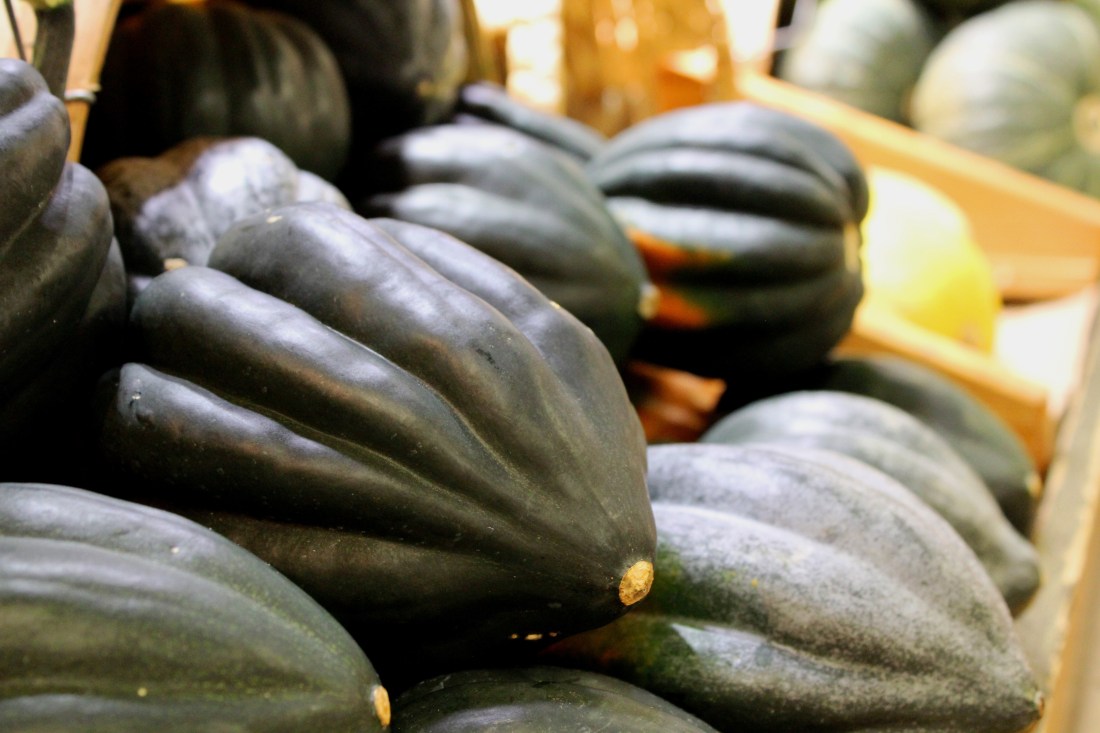 Canva - Acorn Squash, Autumn, Vegetable, Food, Harvest.jpg
