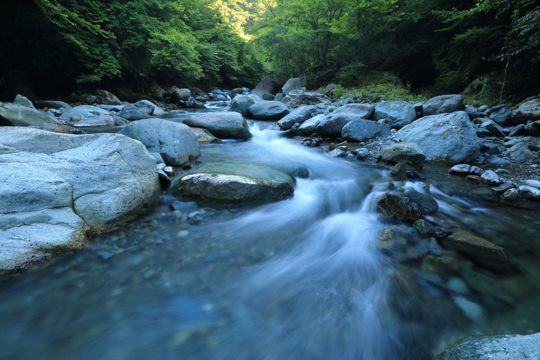 Canva - Stream flowing through forest.jpg